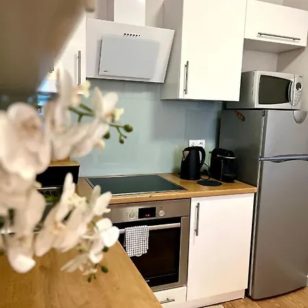 Batalionow Apartment *