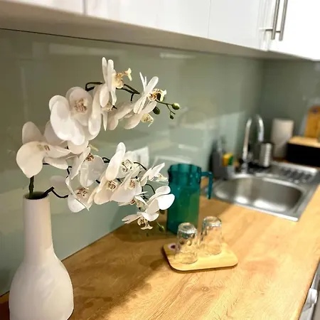 Batalionow Appartement Varsovie